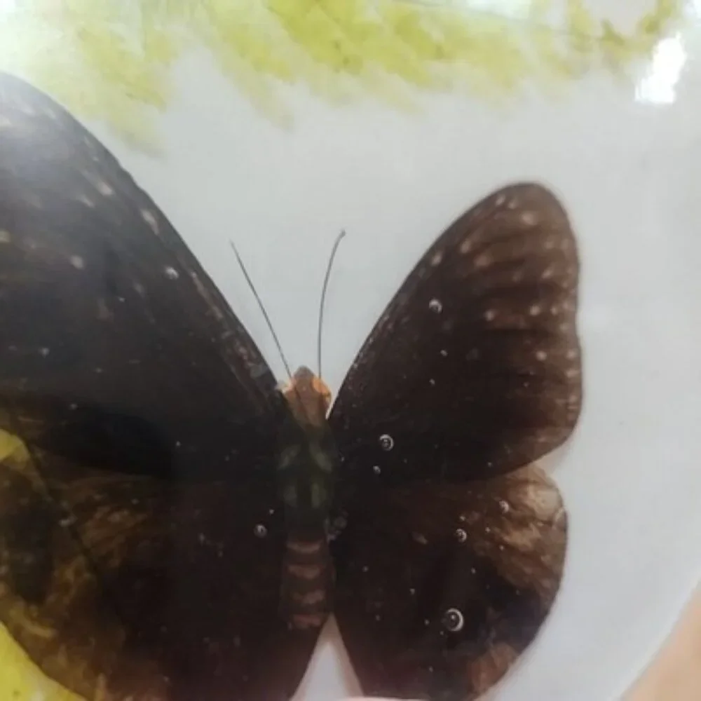 Vintage Lucite Acrylic Spoon Rest W/ trivet set Butterflies wildflowers MCM boho